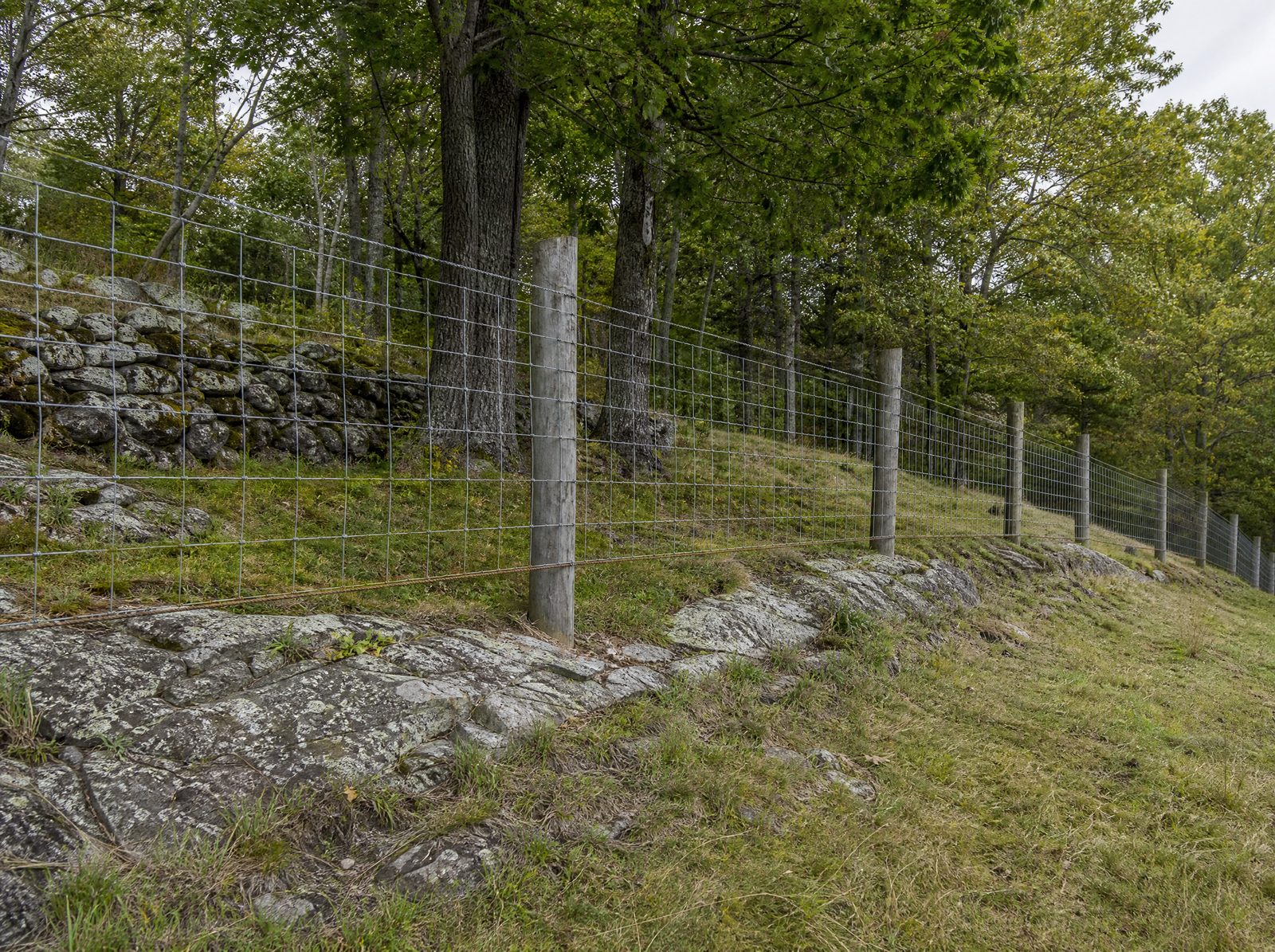Woven-wire field fence line on wood posts running along a sloped New Fairfield pasture edge with taut mesh holding a true line across the grade