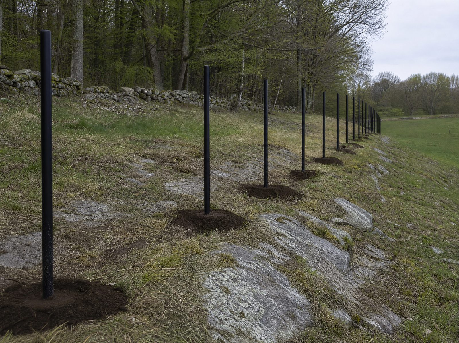 Freshly set black aluminum fence posts standing plumb in a straight line down a sloped rocky pasture edge near a hardwood tree line