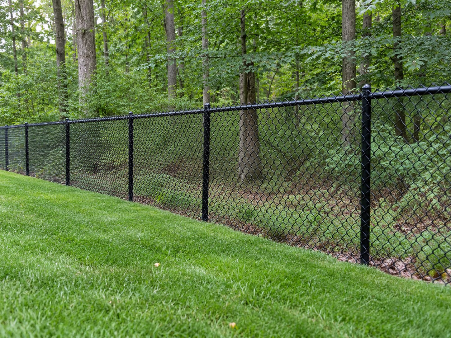 A black vinyl-coated chain link fence runs along the edge of a lawn where it meets a wooded border in western Connecticut.