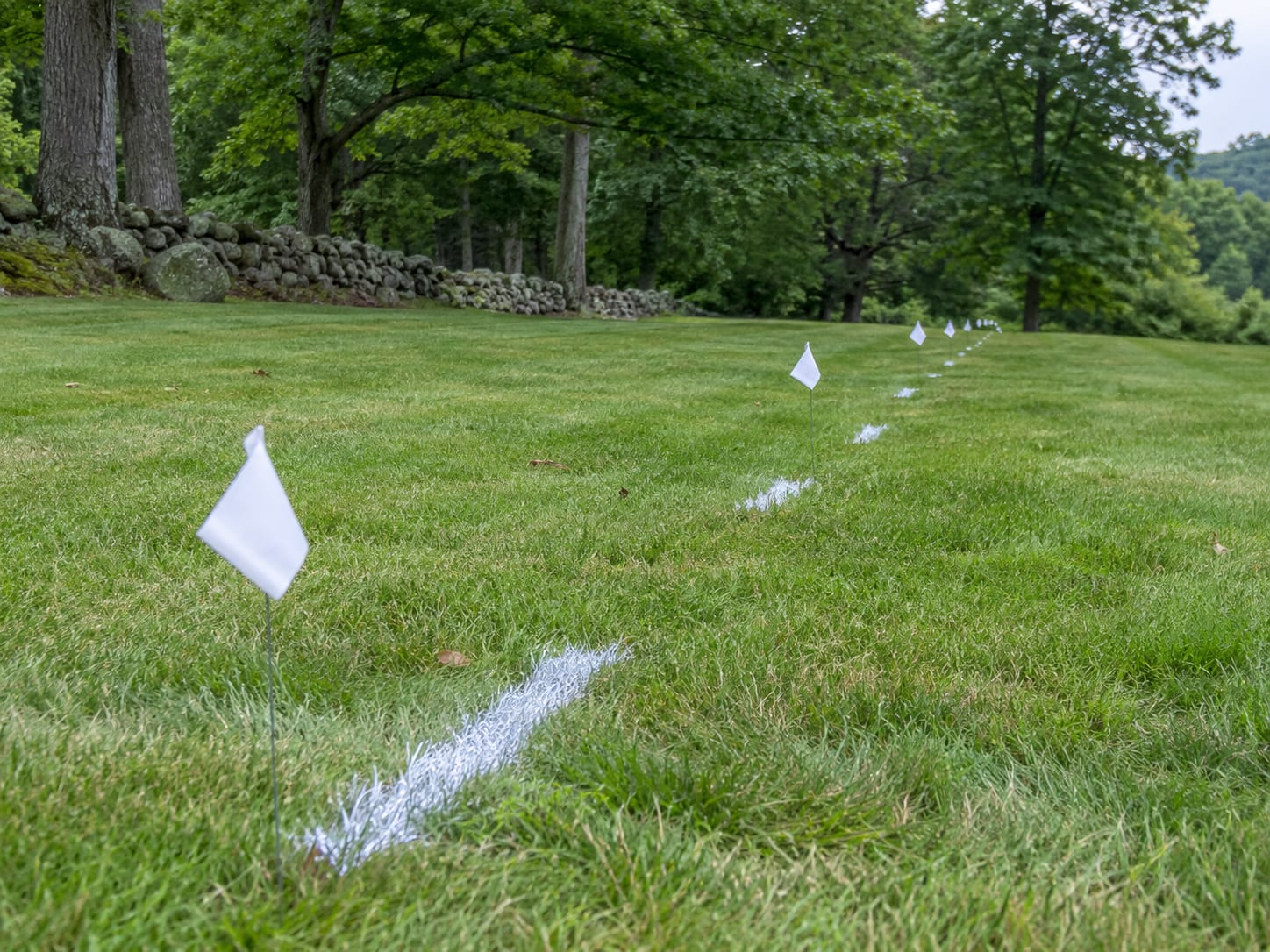 White marking paint and flags run in a straight line across a lawn in western Connecticut to show where a fence line and post holes will go.