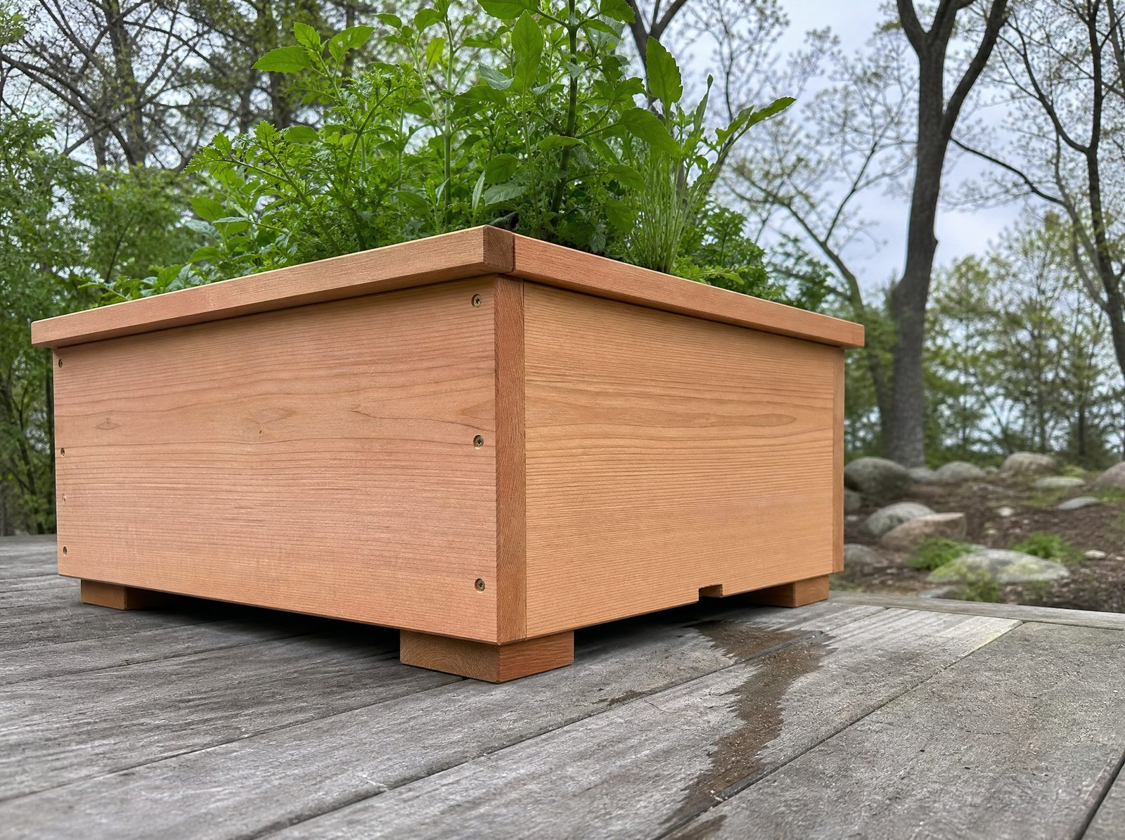 Bottomed cedar patio planter raised on low drainage spacers on a deck at a Sherman home, showing the air gap and runoff path under the box
