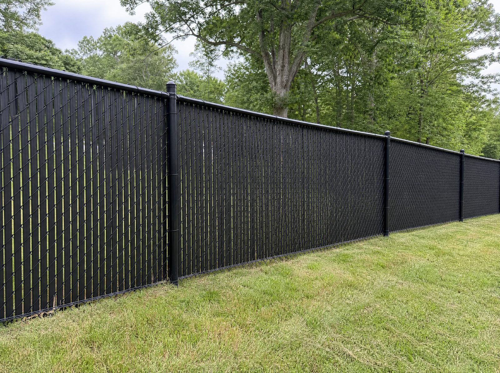 Five foot black chain-link fence with vertical privacy slats woven through the mesh along a rural backyard boundary
