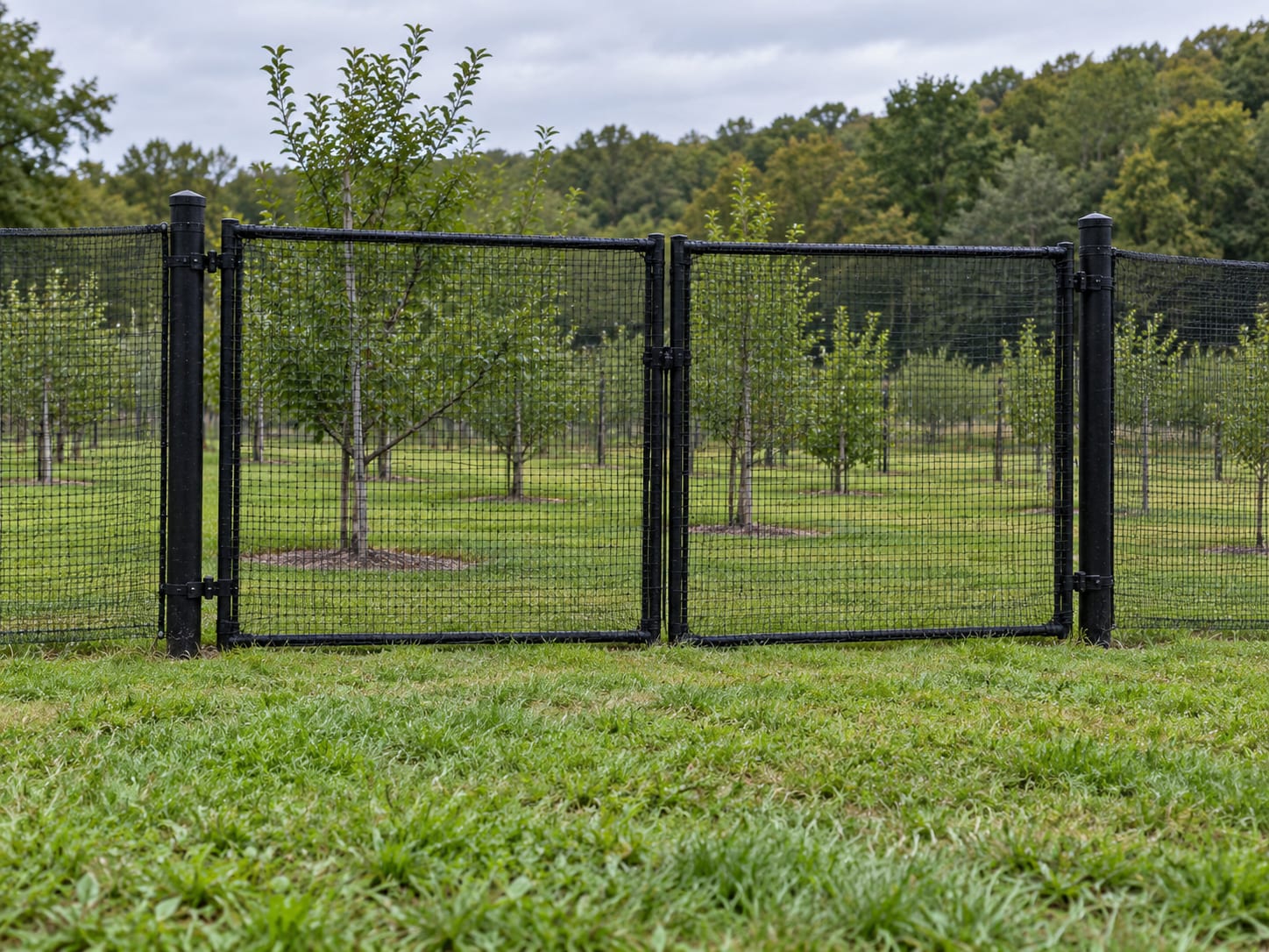 A closed double gate in a tall black polypropylene mesh fence around a small orchard of young fruit trees, with the mesh edge held close to the grass.