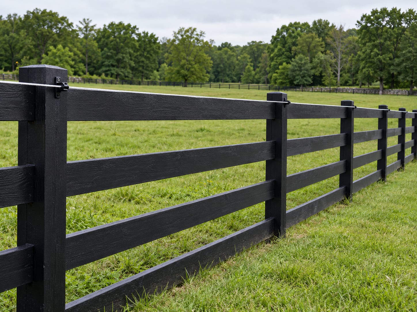 A black board fence along a horse paddock with a single white electric offset wire on insulators running along the inside face of the top board.