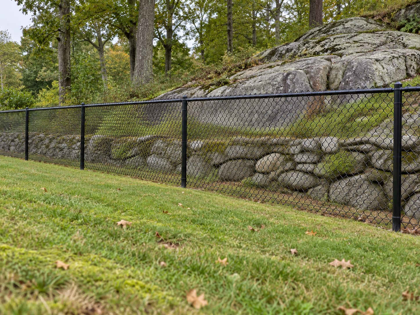 A straight run of black chain link fence along a gently sloping lawn beside an old stone wall and a granite outcrop in western Connecticut.