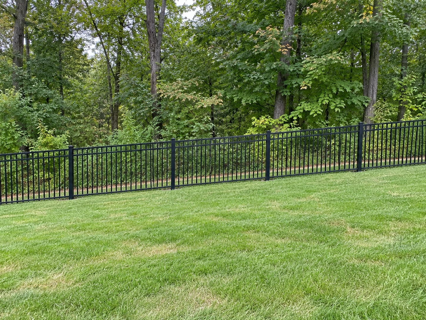 A straight run of black aluminum picket fence on a gently sloping lawn with a wooded edge behind it in western Connecticut.