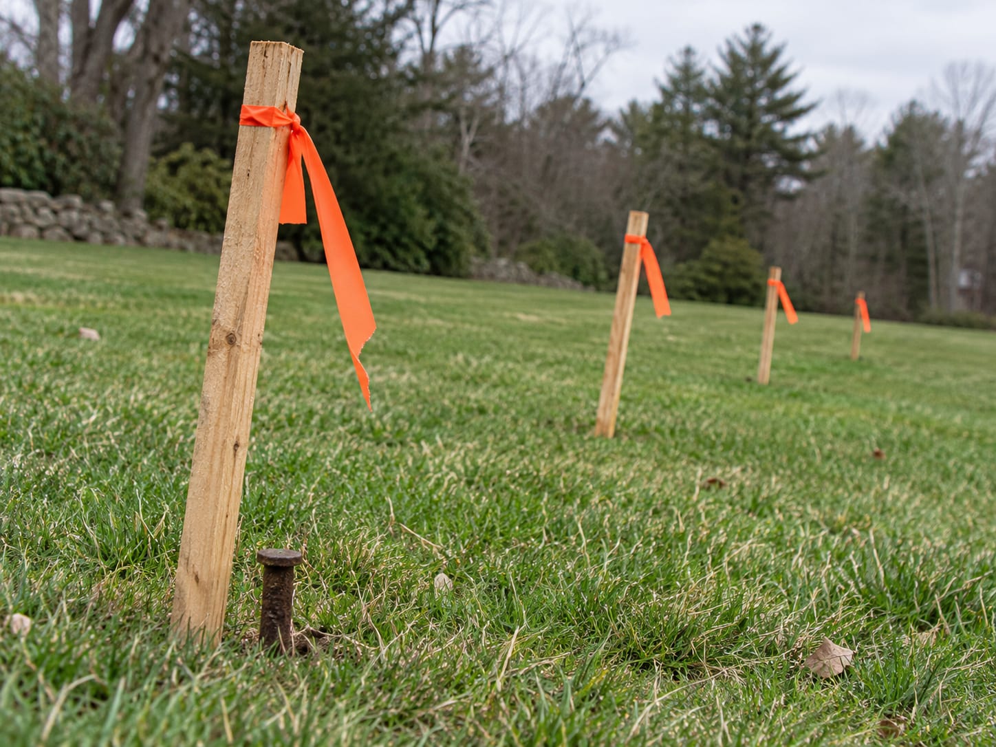 Wooden survey stakes with orange flagging tape marking a straight line across a lawn, with a metal boundary pin set in the grass beside them.