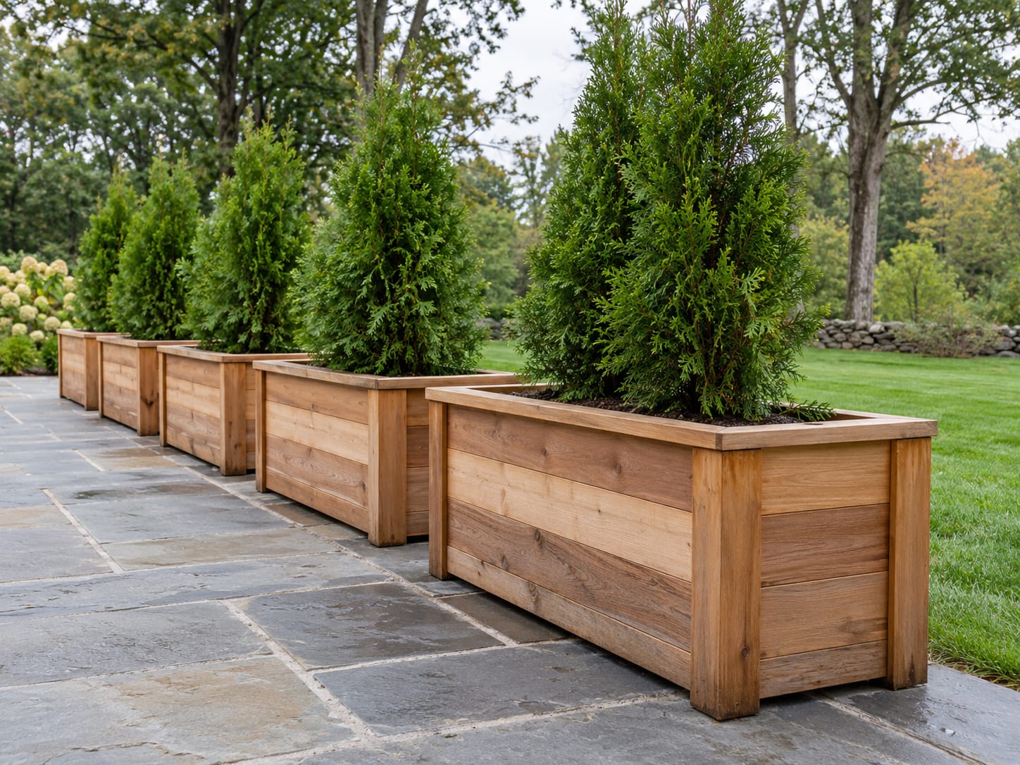 Large cedar planters holding young arborvitae stand in a row at the edge of a bluestone patio, with a lawn and hardwood trees beyond.