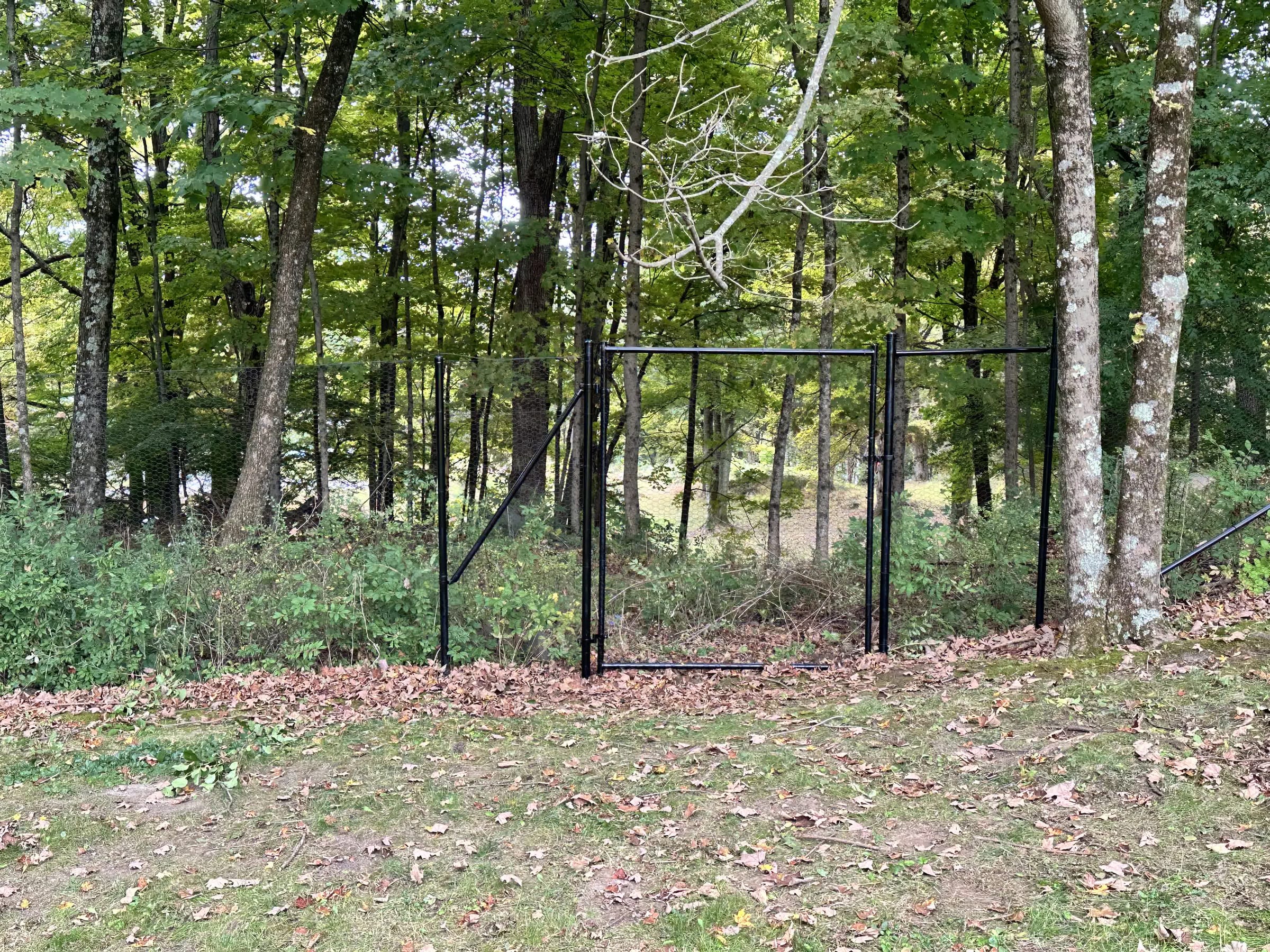 Tall black chain-link fence with a walk gate at a wooded property boundary