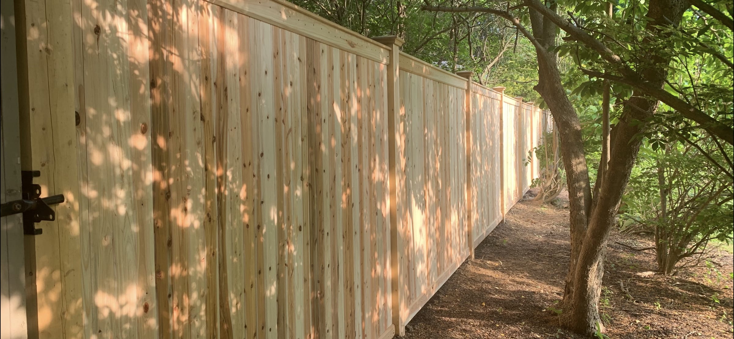 Sunlit cedar board privacy fence receding along a dirt path with dappled shade from overhead trees