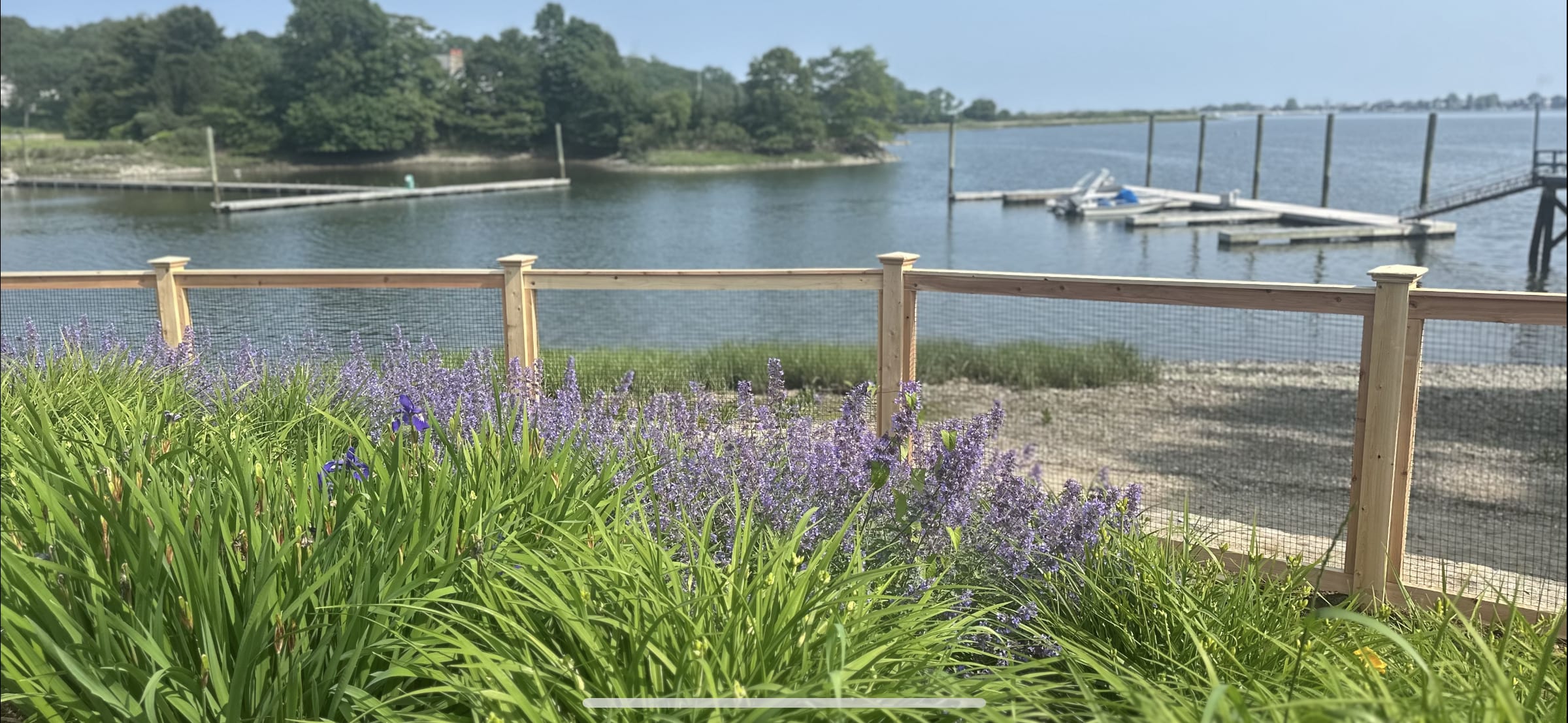 Low cedar post-and-rail fence with wire mesh along a waterfront with lavender and iris blooming in front