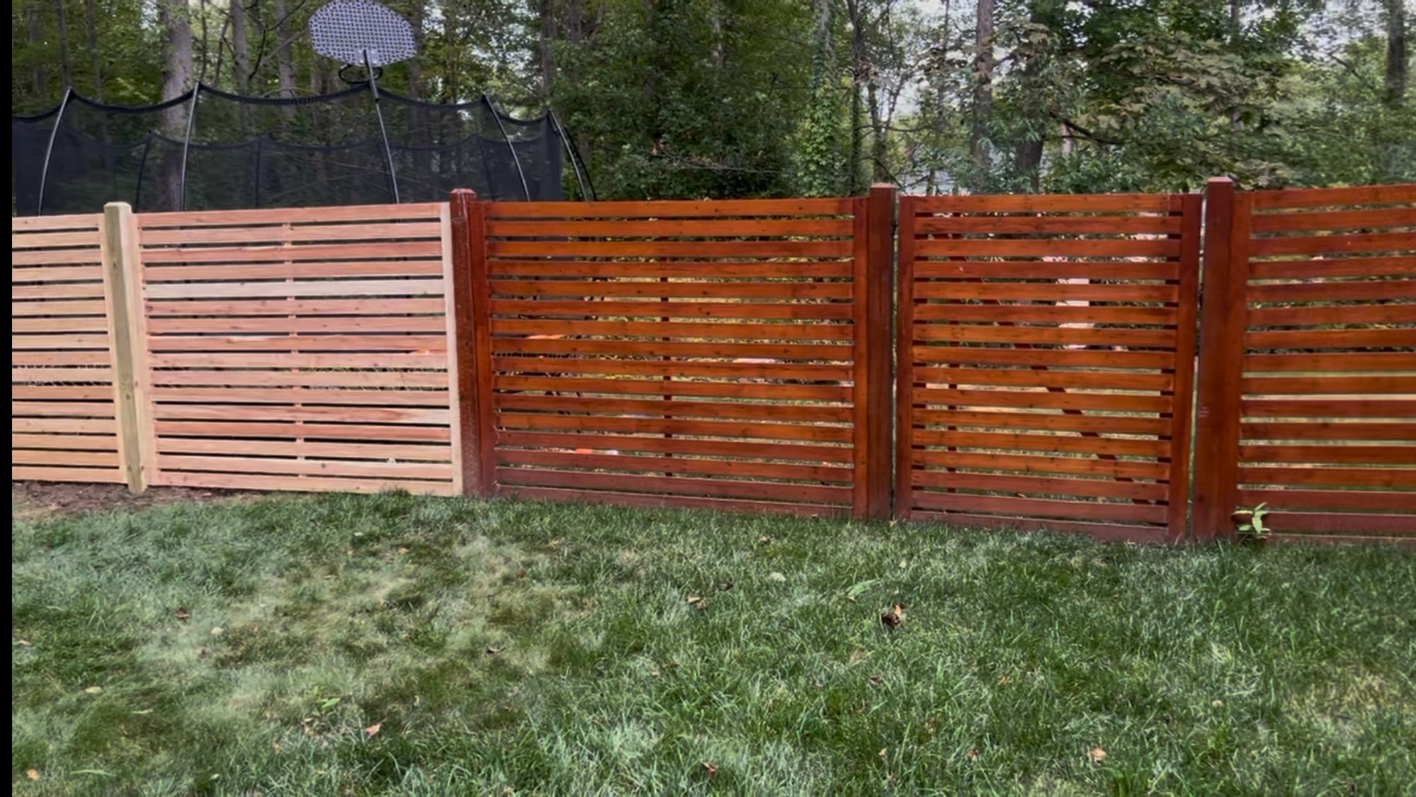 Horizontal cedar slat fence with sections partly stained deep mahogany and part left natural in a grassy backyard