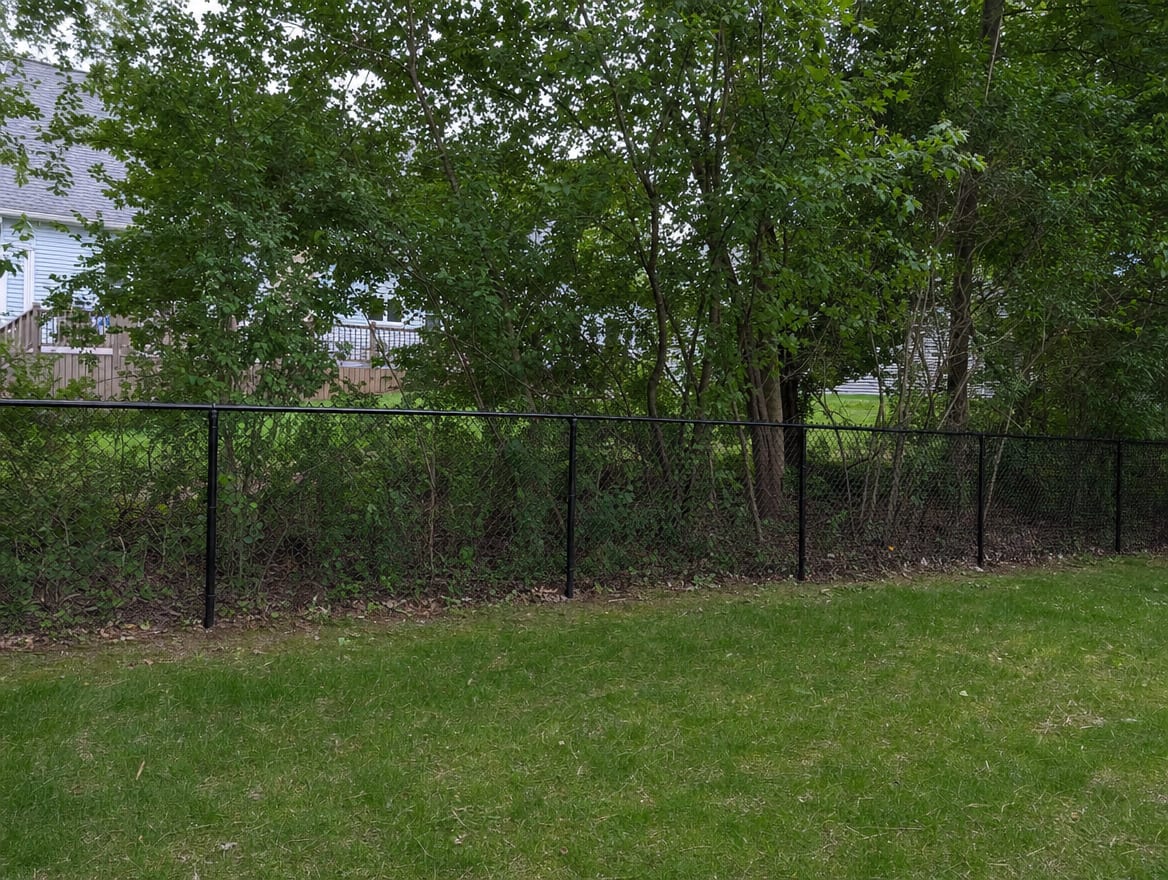 A black chain link fence running along the rear property line of a compact backyard in New Haven, CT