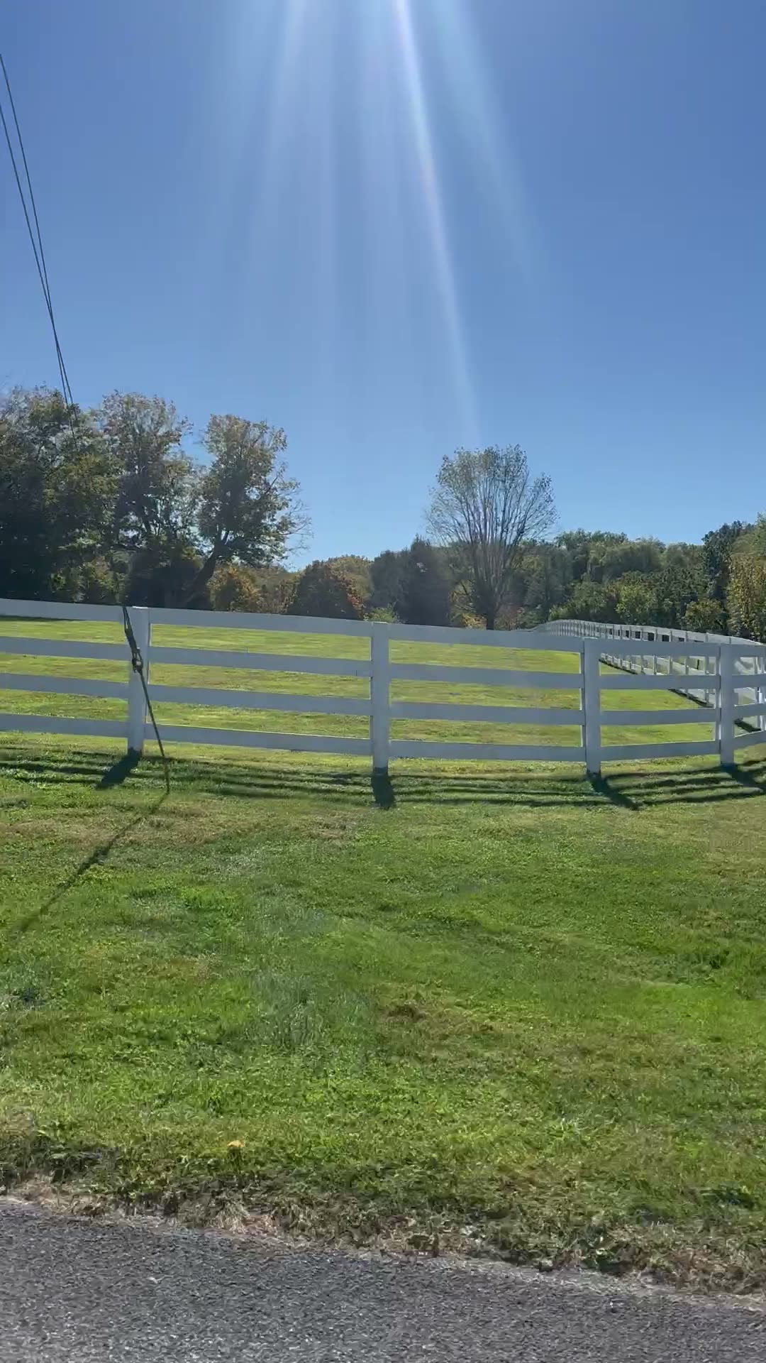 White vinyl three-rail ranch fence with a gate