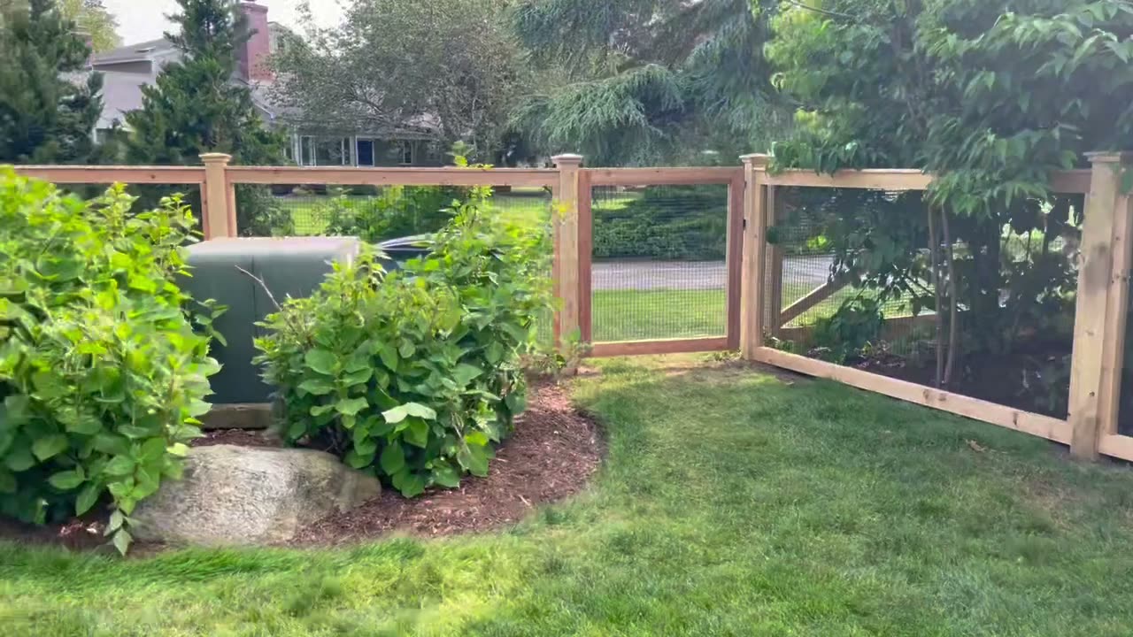 Cedar-framed garden fence with black wire mesh