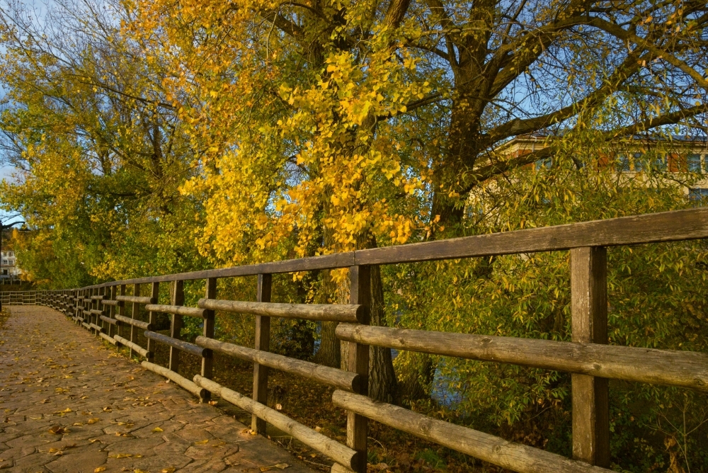 Wood Fencing Weston CT