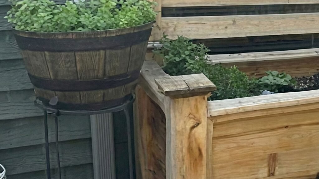 Wooden cedar planter boxes with herbs and vegetables on outdoor deck next to horizontal wood privacy fence