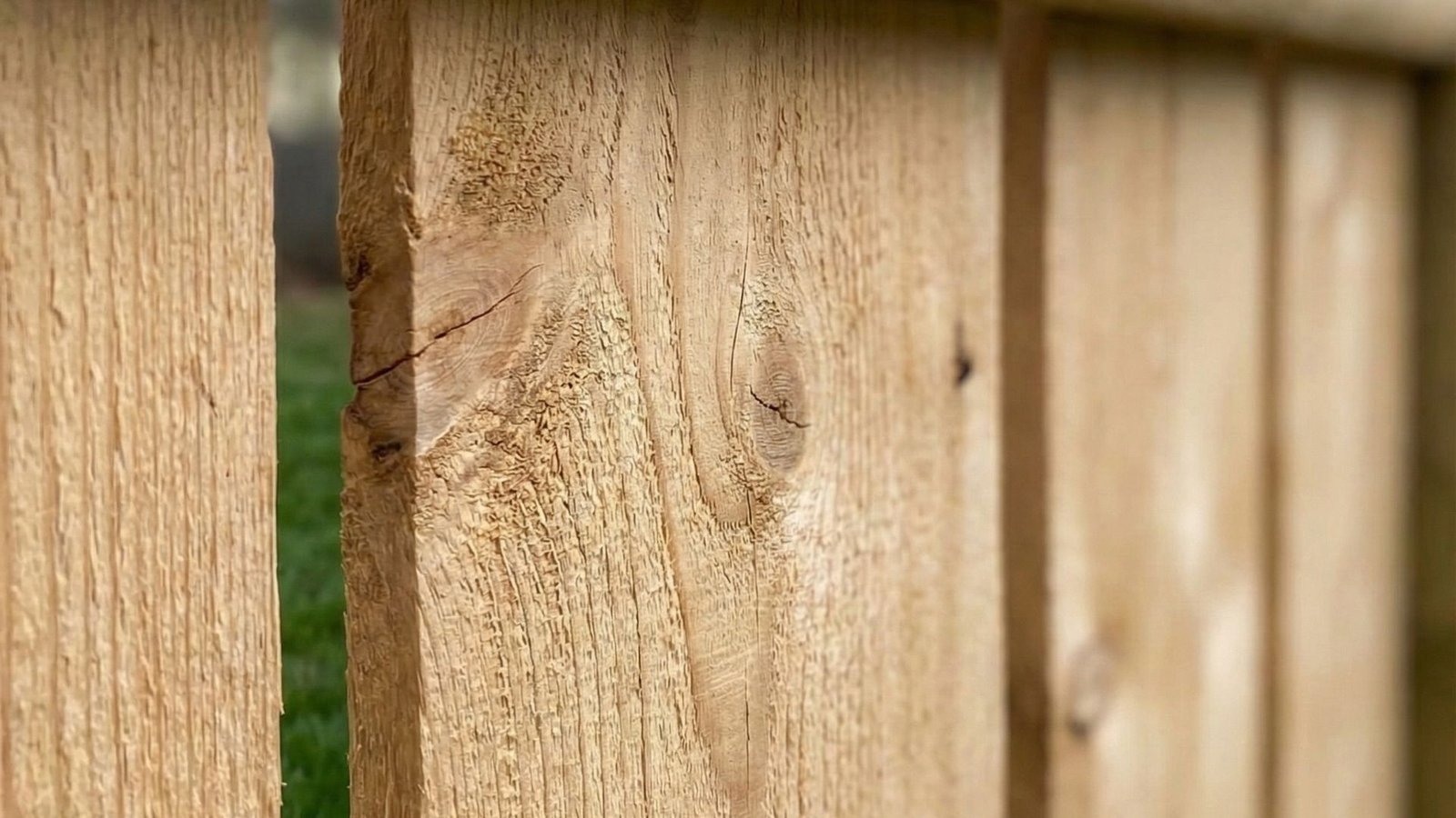 Close-up view of natural wood fence pickets showing grain texture and construction detail for pet containment