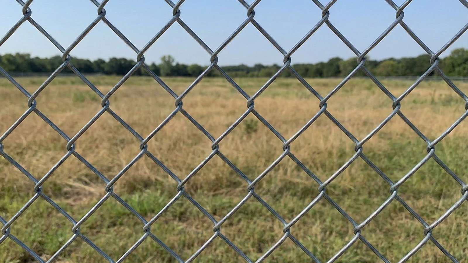 Chain link fence with diamond pattern mesh overlooking open field with trees in background