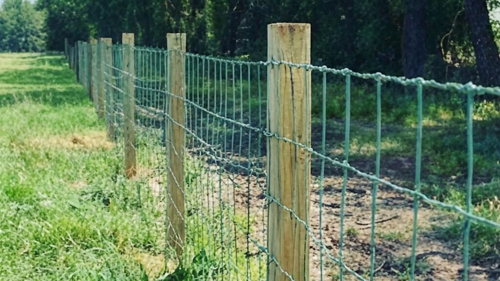 Green wire mesh agricultural fence with wooden posts installed along property line with trees in background