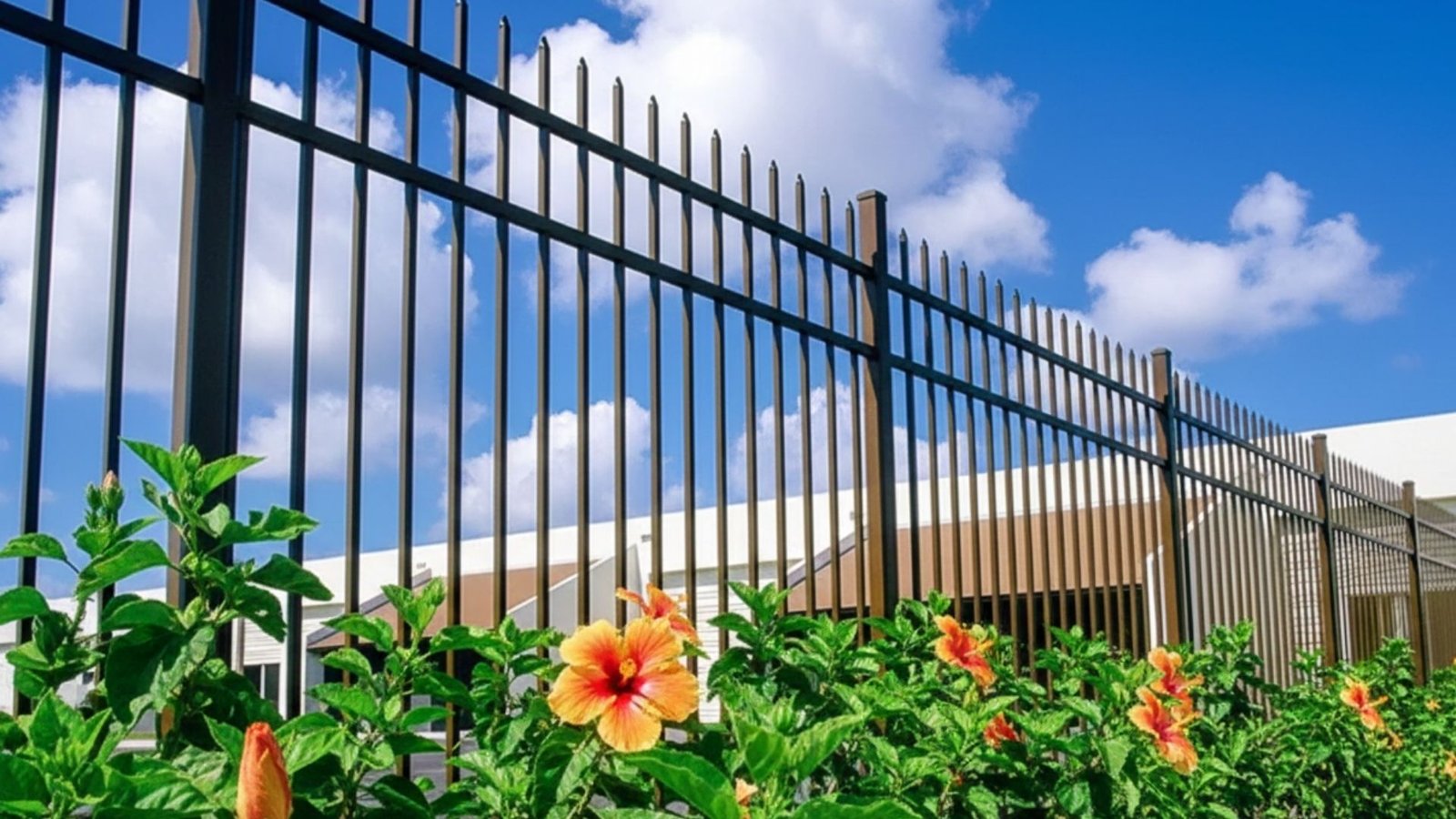 Black metal industrial fence with vertical slats along landscaped border with orange hibiscus flowers and green plants