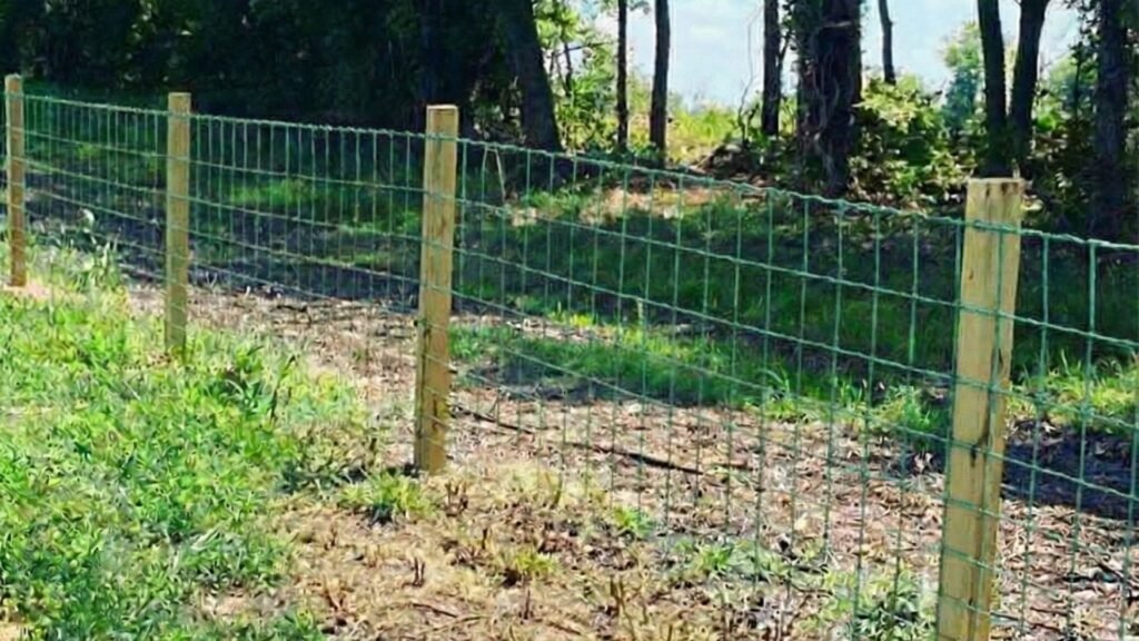 New agricultural fence installation with green wire mesh panels and wooden posts in a wooded area