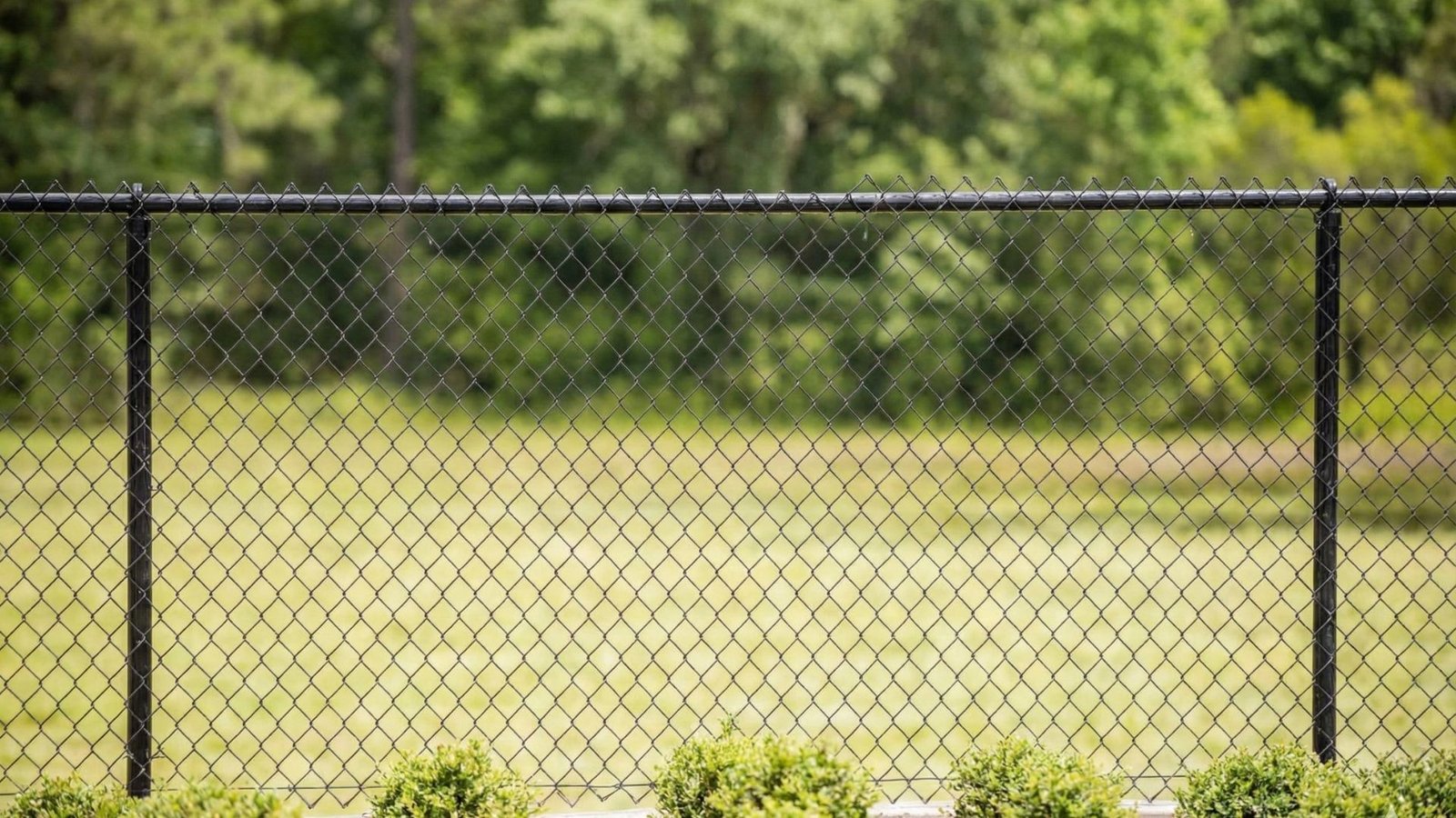 Black chain link fence with diamond pattern mesh installed around residential property with green lawn and trees